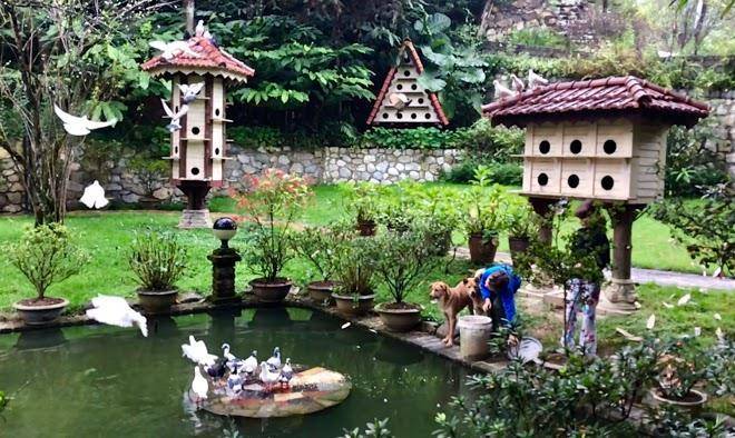 Sapa garden bed and breakfast