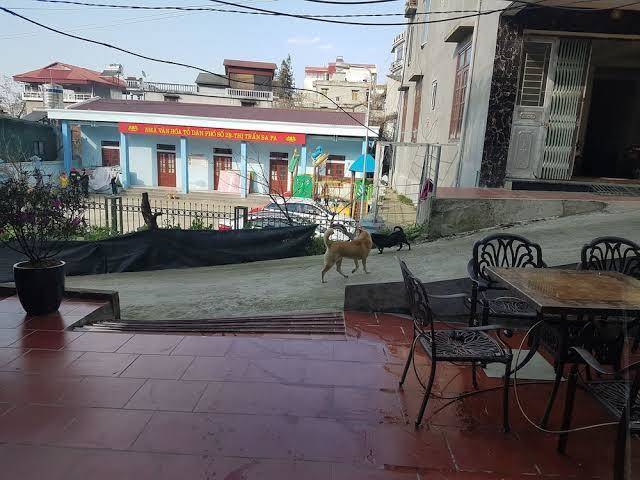 Sapa peaceful hotel