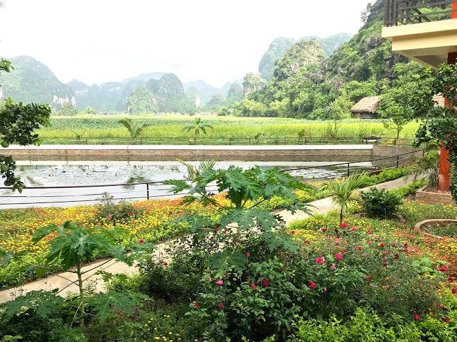 Ninh binh panorama