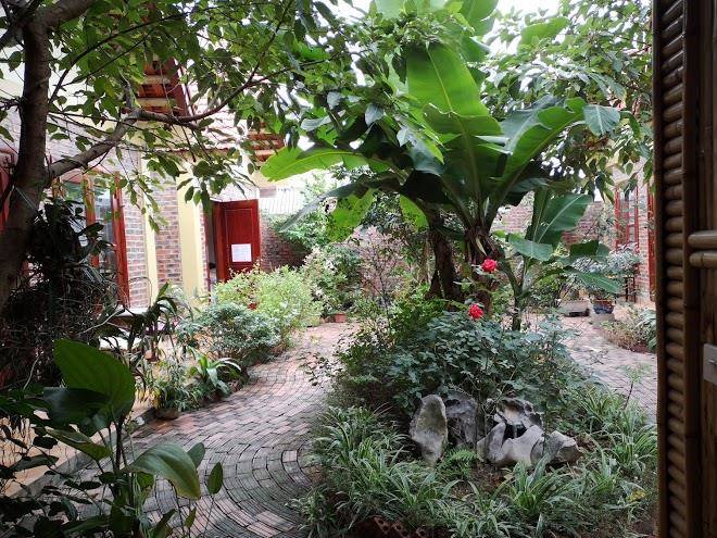 Viet anh homestay