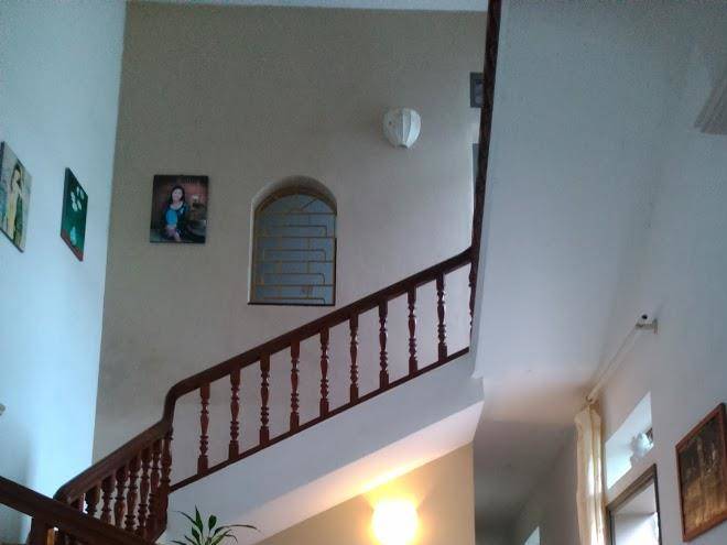 Green papaya home stay