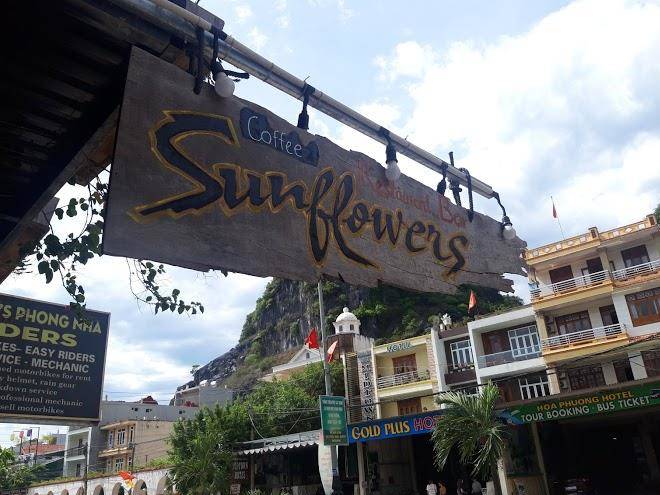Sunflower phong nha