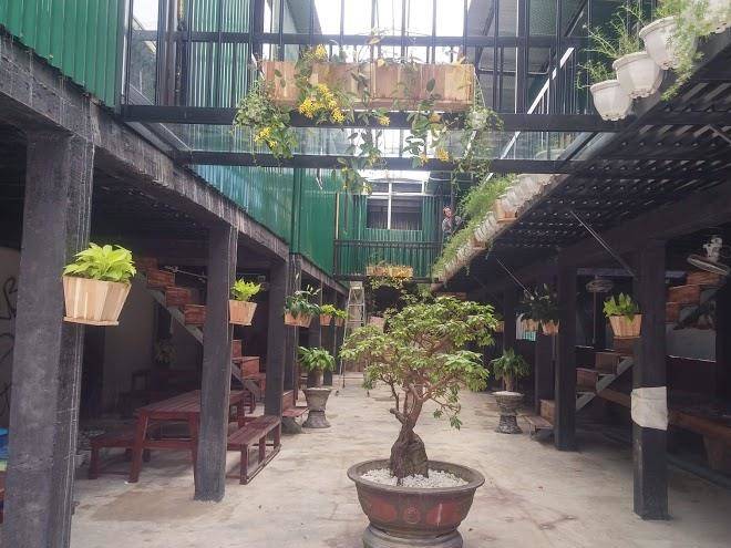 Sunflower quang binh