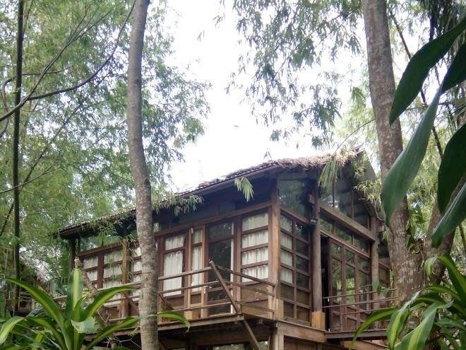 Triem tay gardens