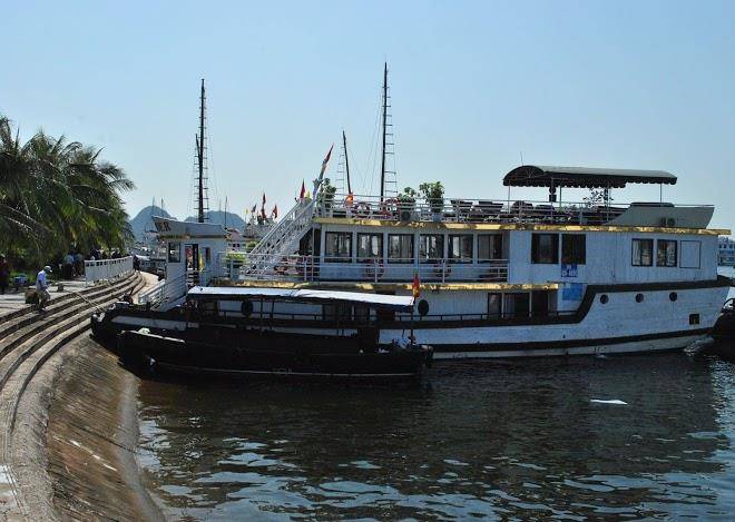 Lavender elegance cruises