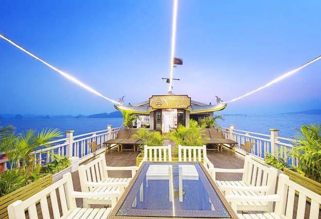 Luxury white dolphin cruise