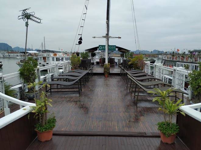Viola cruise halong bay