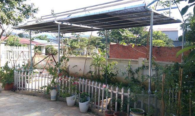 Hoa mai nha san ecology