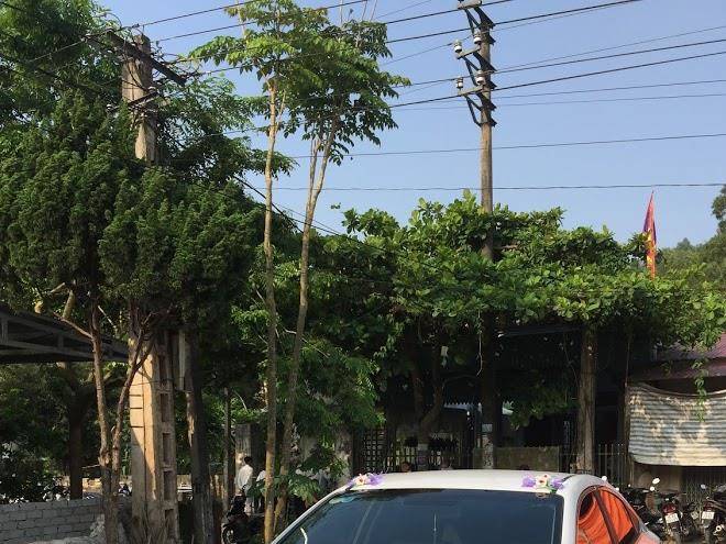 Hoa homestay