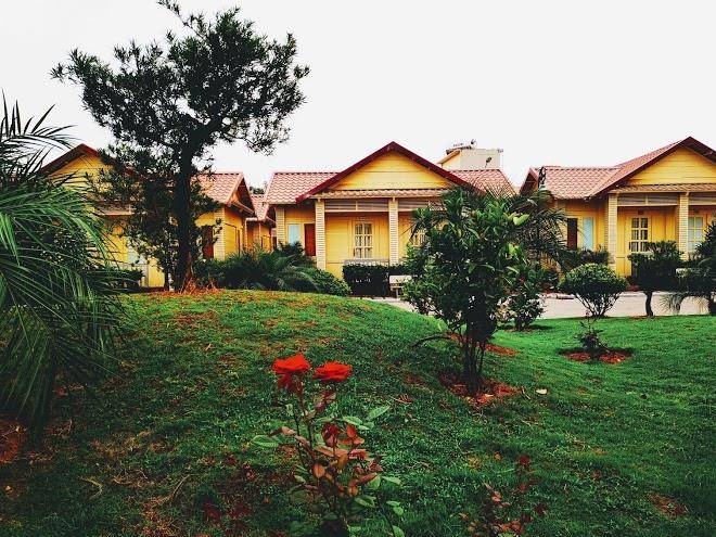 Anh phat inn