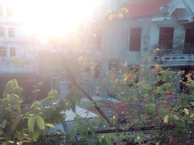 Hue Thuong Hotel Image