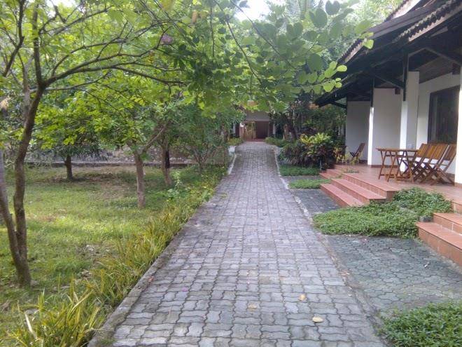 Lang co lotus hotel