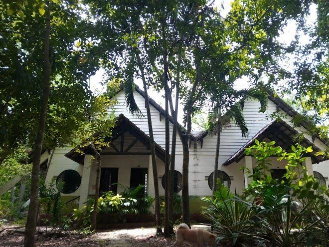 Giao diem homestay