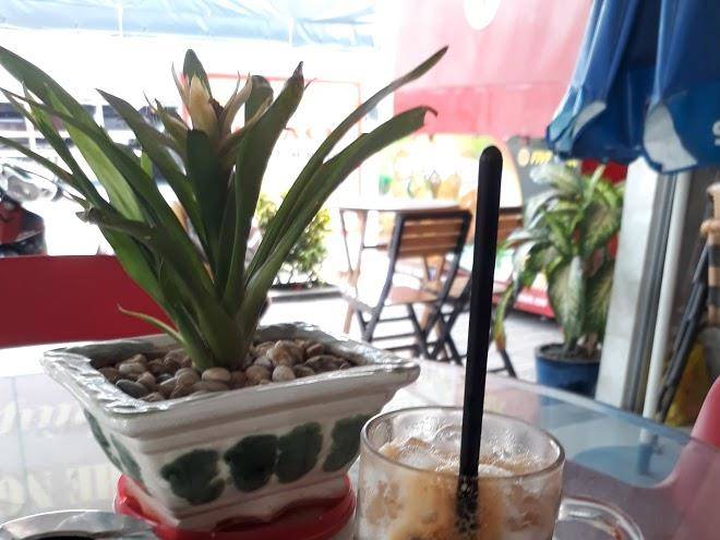 Van phuc hotel