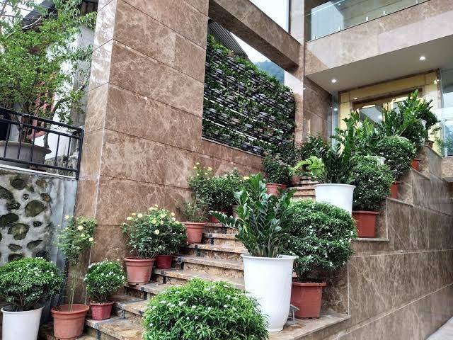 Royal huy hotel tam dao