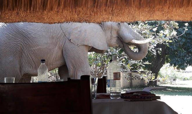 Marula lodge