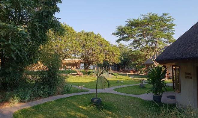Wild dogs lodge
