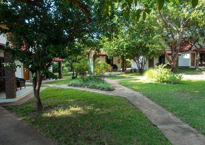 Green tree lodge