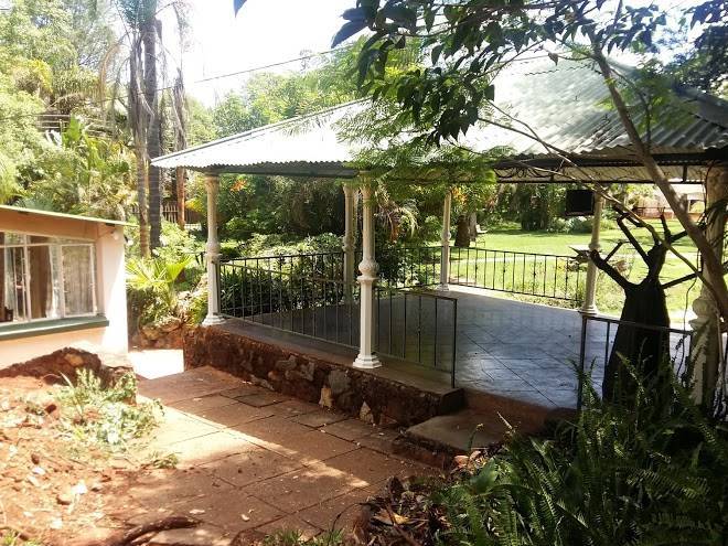 Gecko gardens