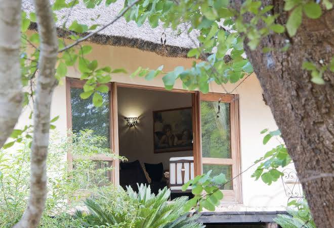 Bushman rock safaris