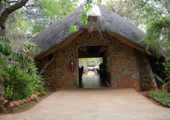 Chengeta safari lodge