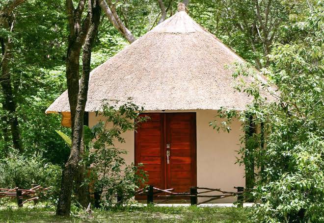 Gwango elephant lodge