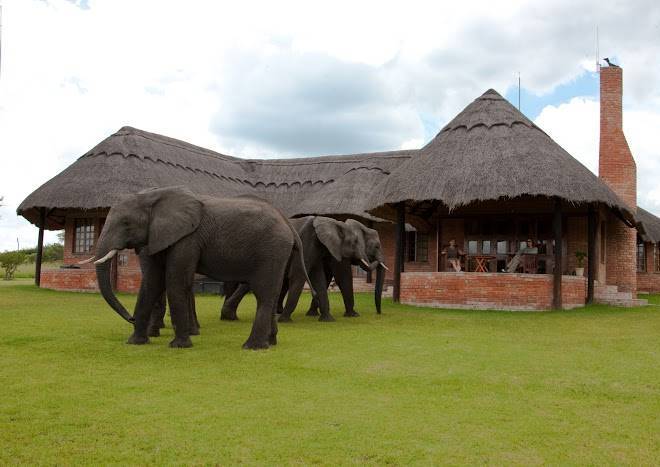 Antelope park