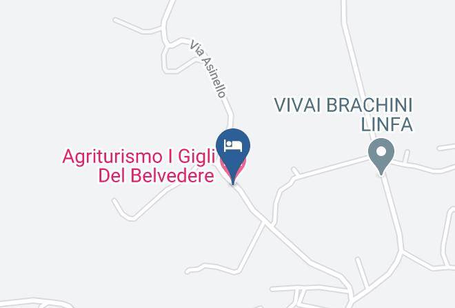 Viterbo - Agriturismo I Gigli Del Belvedere Maps