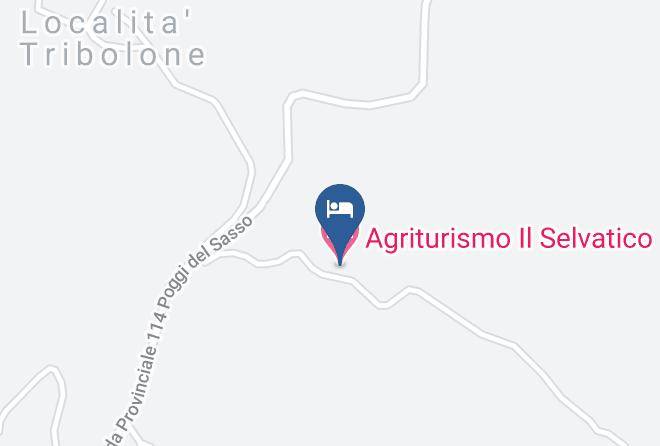 Grosseto - Agriturismo Il Selvatico Maps
