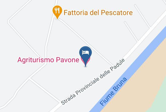 Grosseto - Agriturismo Pavone Maps