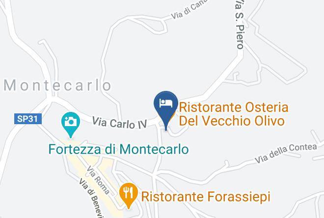Lucca - Agriturismo Vecchio Olivo Maps