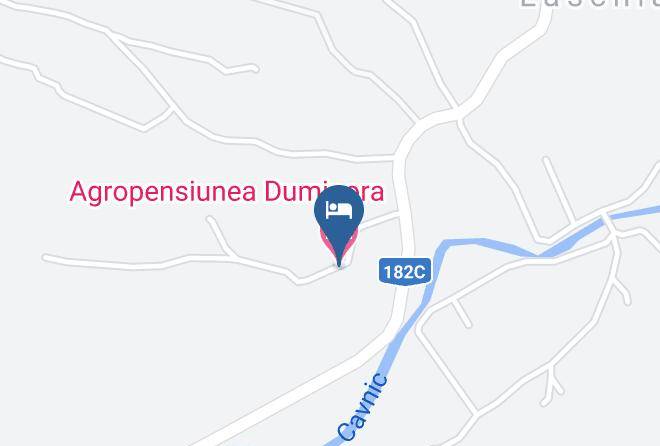 Copalnic Manatur - Agropensiunea Duminora Maps
