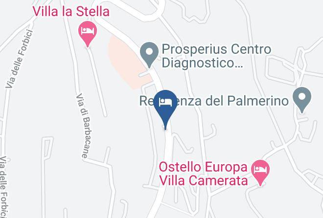 Florence - Alberomago Maps