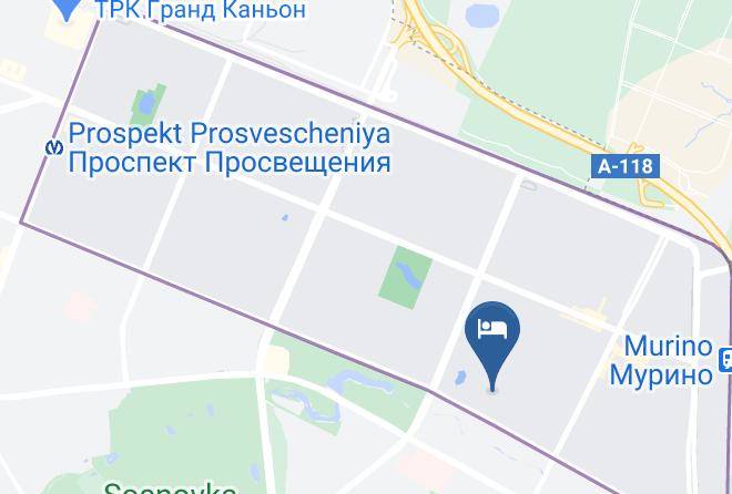 Saint Petersburg - Alt Ritter Maps