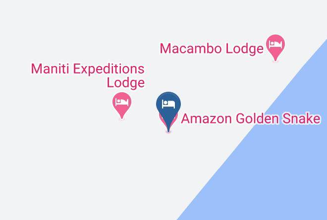 Maynas - Amazon Golden Snake Maps
