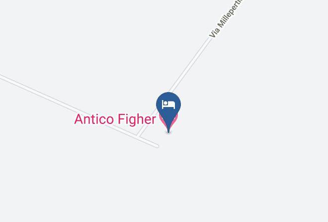 Venice - Antico Figher Maps