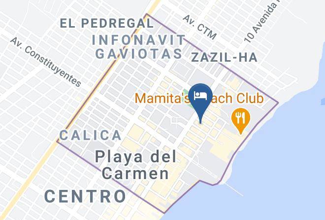Solidaridad - Senses Quinta Avenida By Artisan Maps