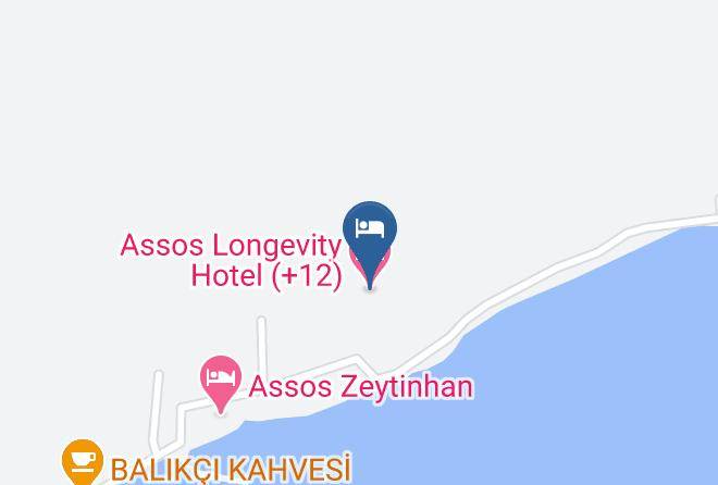 Ayvacik - Assos Longevity Hotel Maps