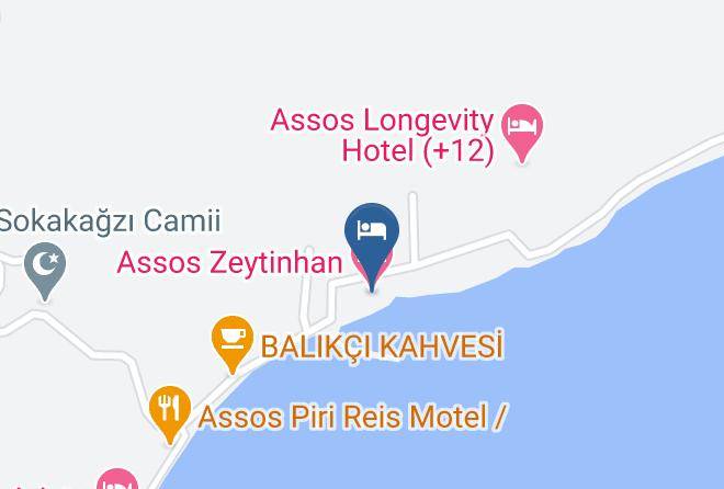 Ayvacik - Assos Zeytinhan Hotel Maps