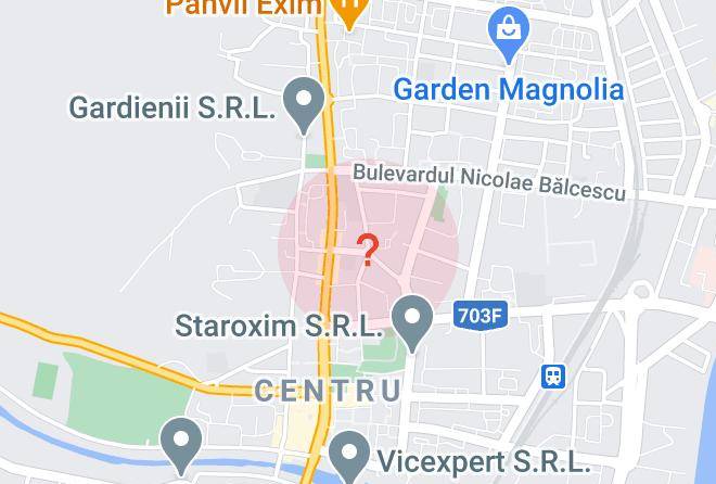 Ramnicu Valcea - Avansoft Maps