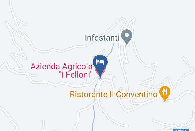 Pisa - Azienda Agricola I Felloni Maps