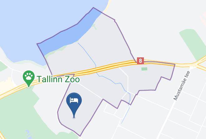 Tallinn - Bagira Panter Ou Maps