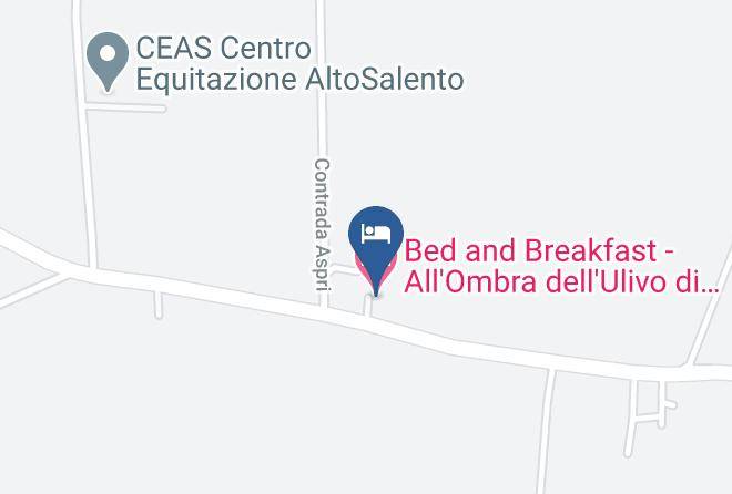 Brindisi - Bed And Breakfast All'ombra Dell'ulivo Di Eugenio E Vanna Grassi Maps