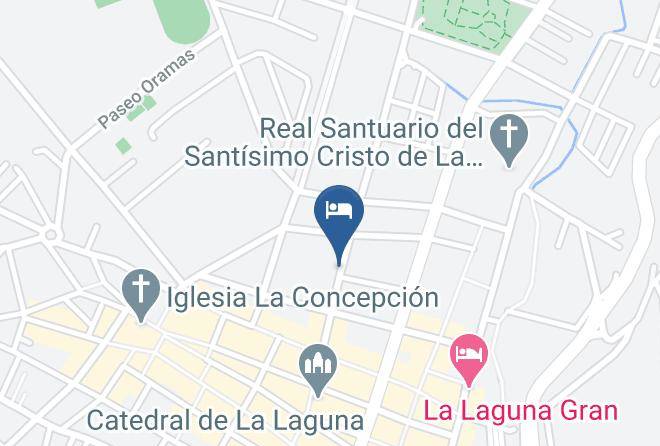 Bed Books And Breakfast Ratones De Biblioteca Map