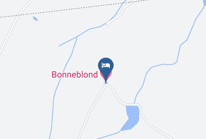 Allier - Bonneblond Maps