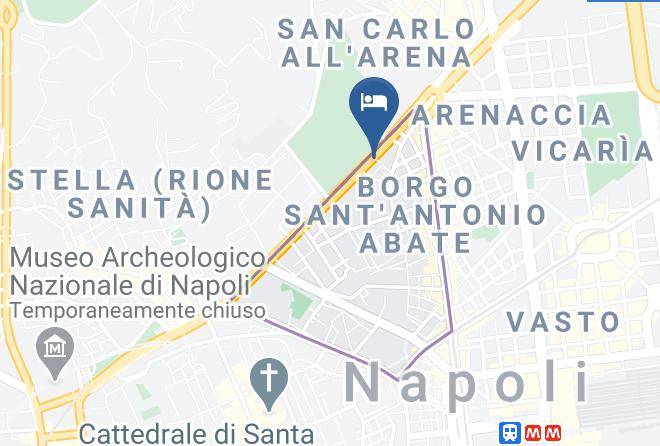 Naples - Botanic Charm Maps