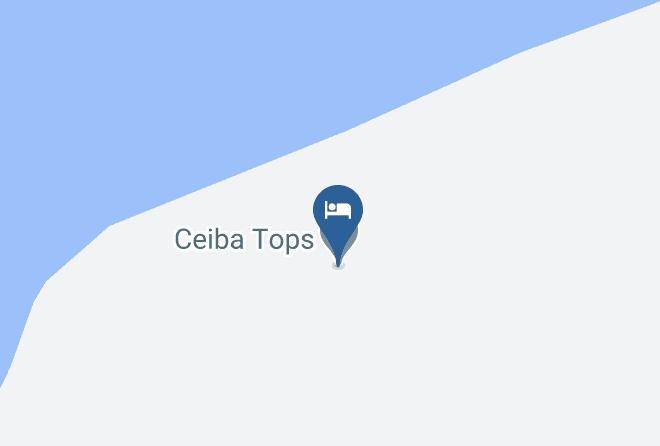 Maynas - Ceiba Tops Maps