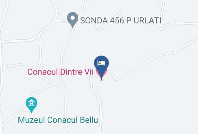 Prahova - Conacul Dintre Vii Maps