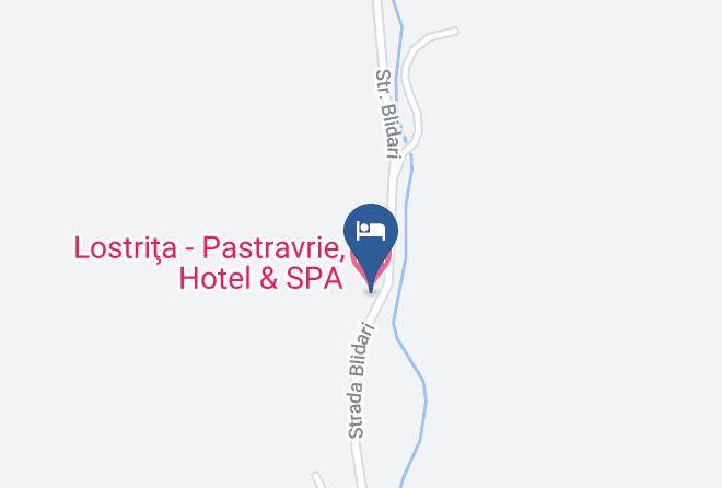 Baia Mare - Complex Lostrita Maps