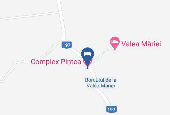Negreti Oa - Complex Pintea Maps